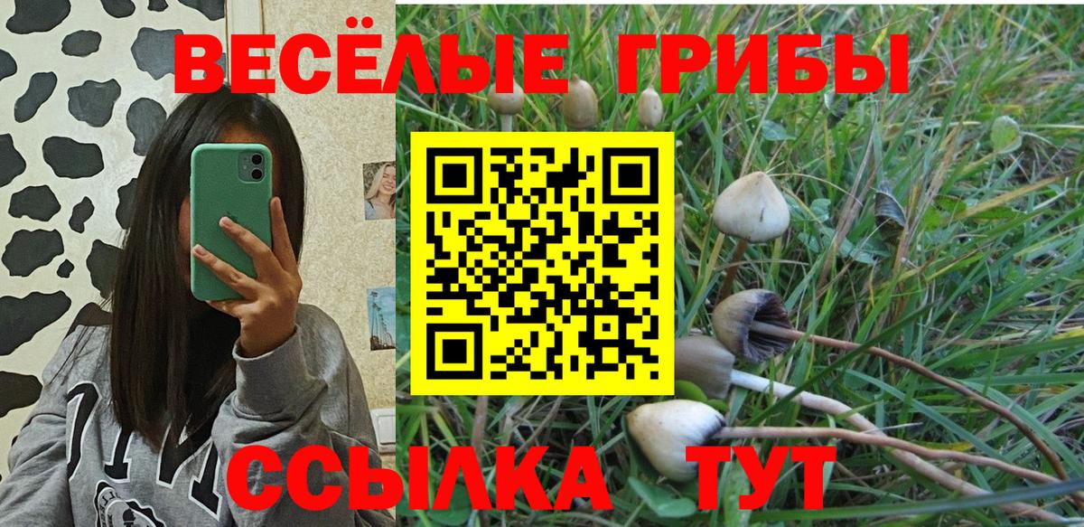 Бор  Галлюциногенные грибы GOLDEN TEACHER  Вход с VPN 