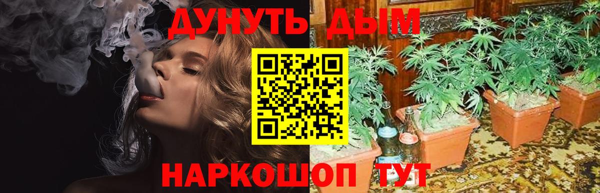 Бошки марихуана SATIVA & INDICA  Канабис Ganja  Бошки Шишки семена  Вход с VPN  Бор 